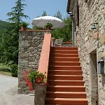 Casale Le Sette Vene Mercatale (Arezzo)