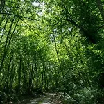 Casale Le Sette Vene