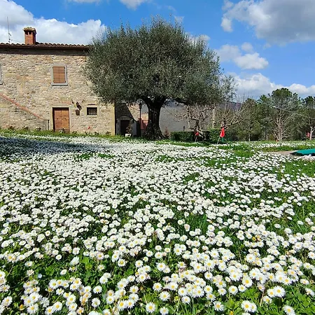 Casale Le Sette Vene Villa