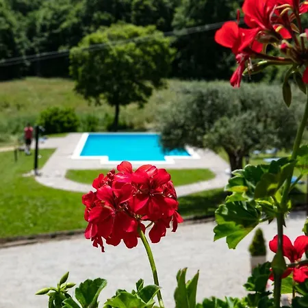 Casale Le Sette Vene Mercatale (Arezzo)